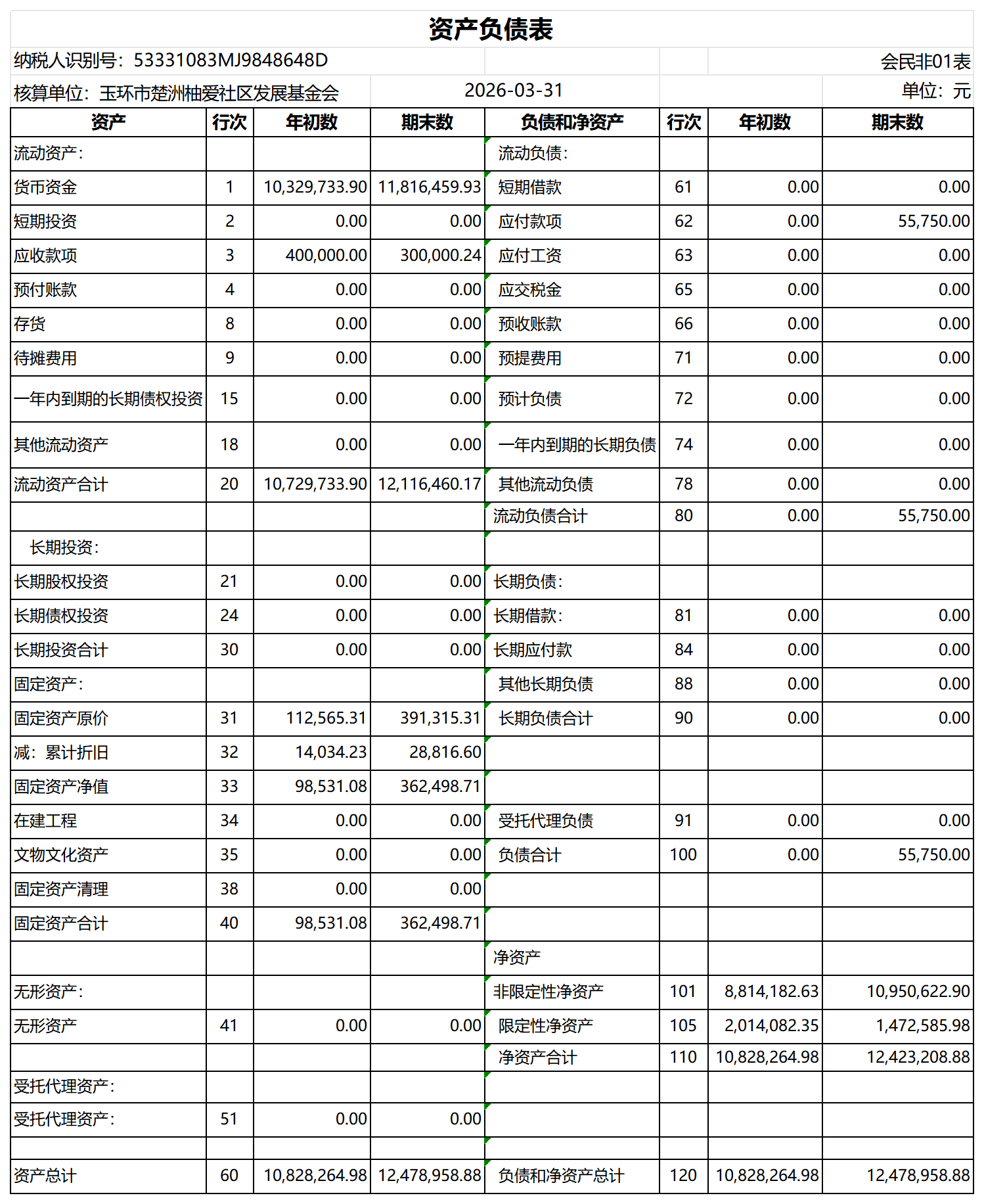 资产负债表_202603_玉环市楚洲柚爱社区发展基（一样的）_资产负债表.png